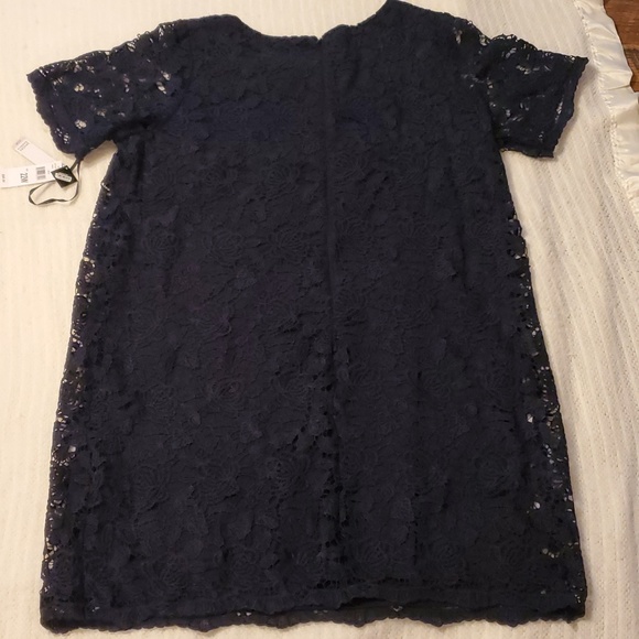 Sandra Darren Lace Dress NAVY - Picture 4 of 4